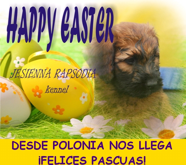 fELICES PASCUAS POLONIA