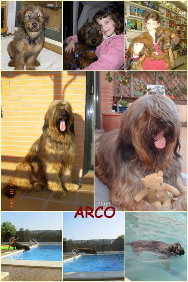 ARCO