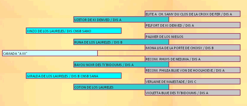 Pedigree camada pastor de brie los laureles