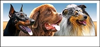 logo criadores europeos
