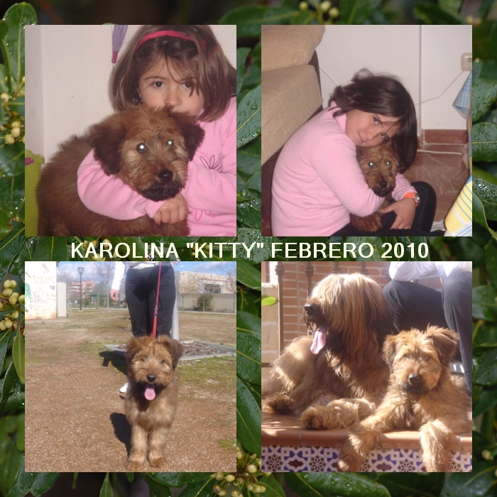 PASTOR DE BRIE KAROLINA "KITTY" DE LOS LAURELES