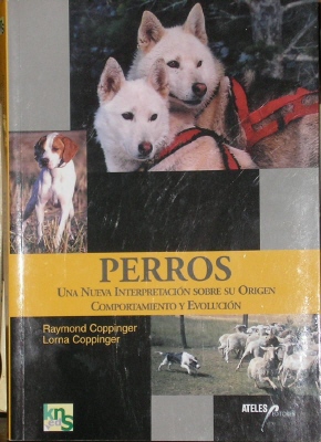 LIBRO RECOMENDADO