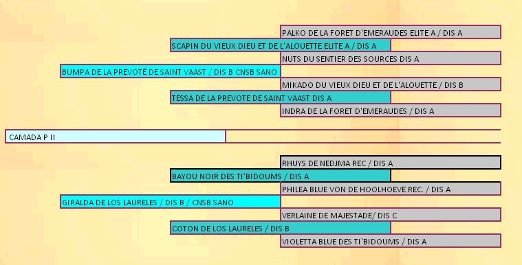 pedigree camada p 2