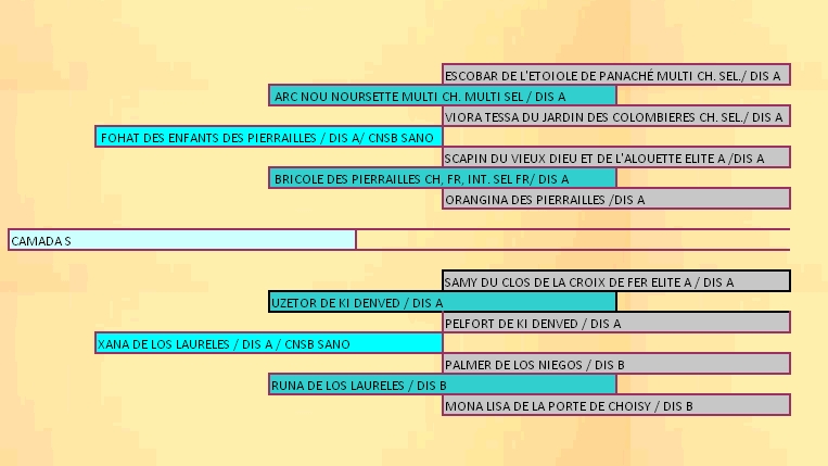 pedigree camada s