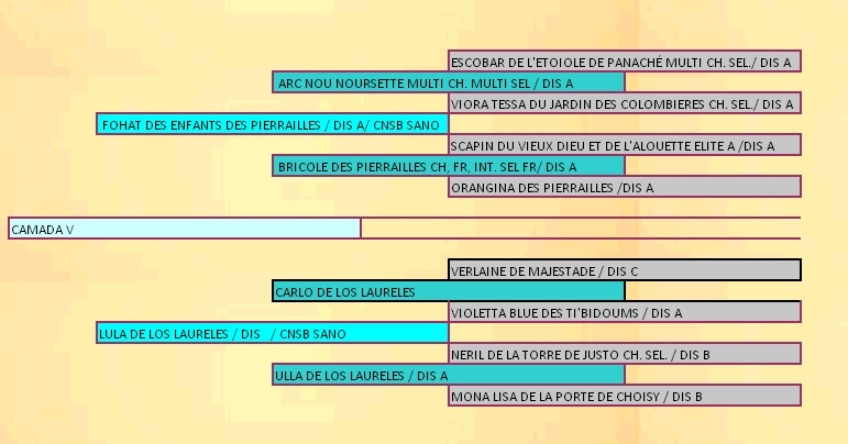 pedigree camada v