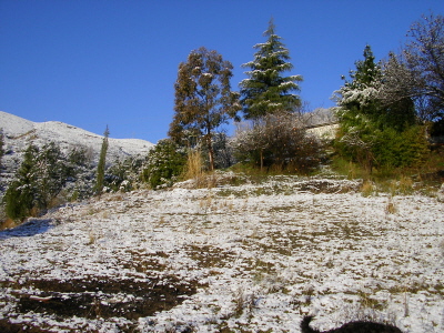 Las Cañadillas