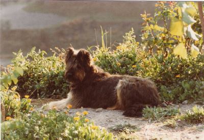 Senda de La Priscalea