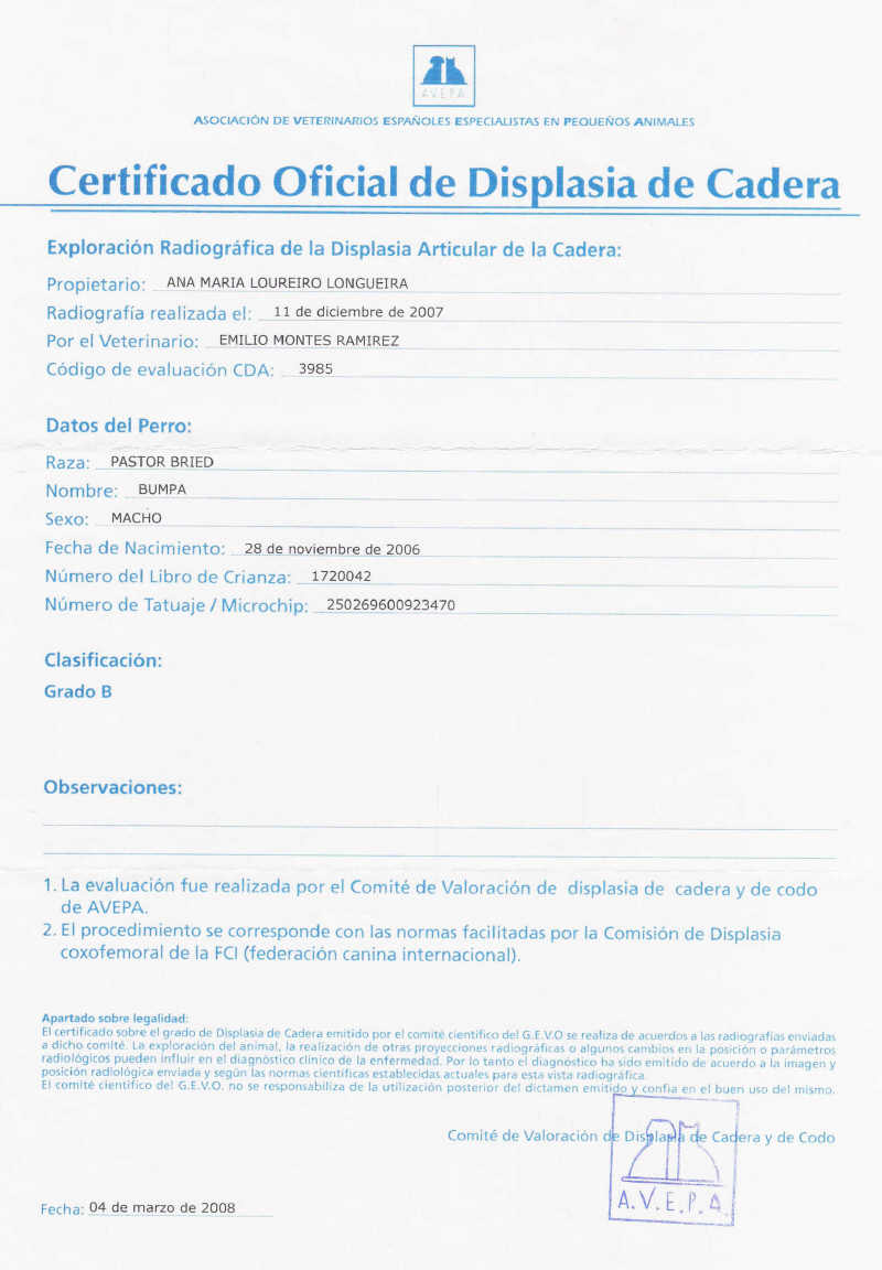 escaner radiografia displasia Bumpa