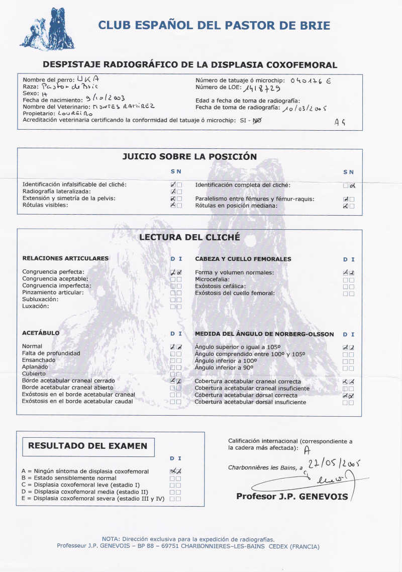 escaner radiografia displasia Uka