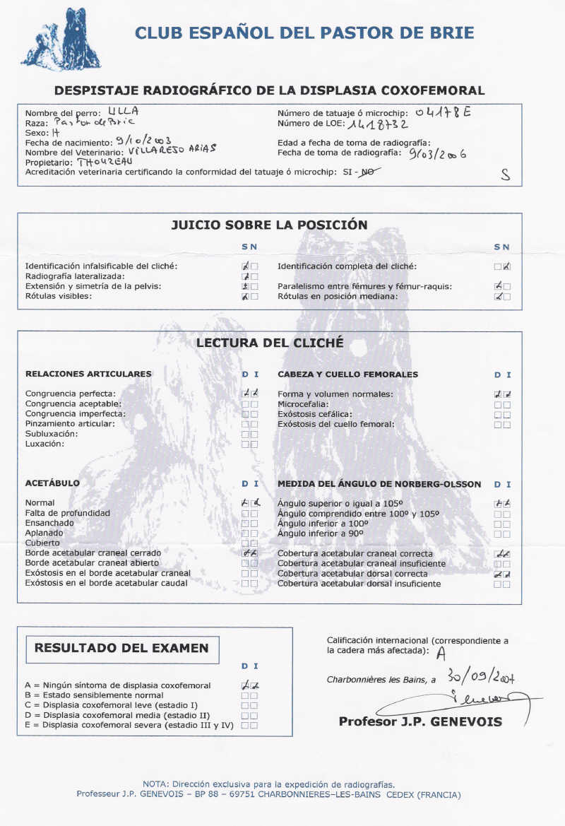 escaner radiografia displasia ulla