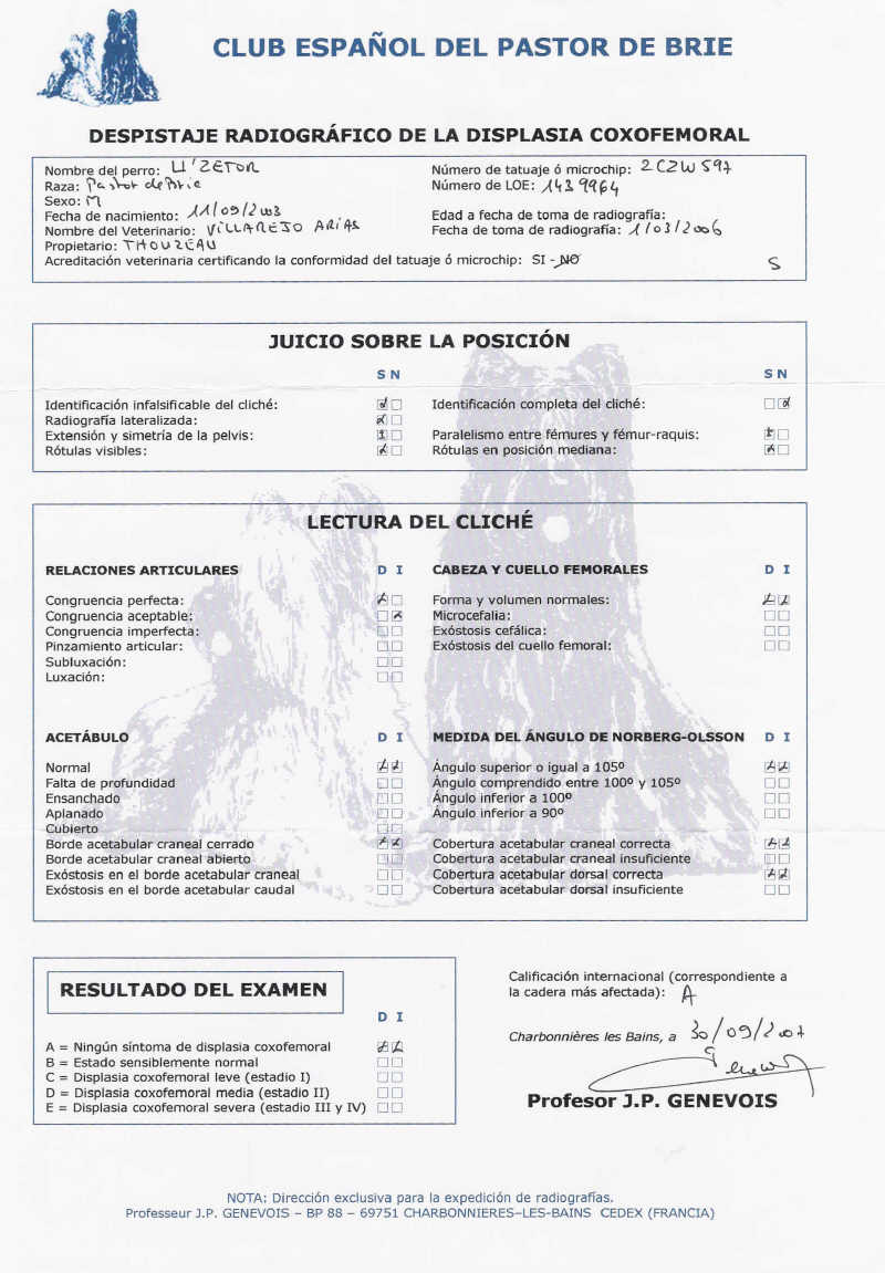 escaner radiografia displasia urko