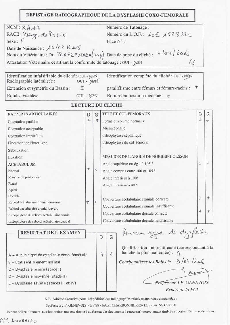escaner radiograia displasia xana
