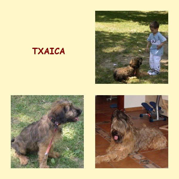 TXAICA